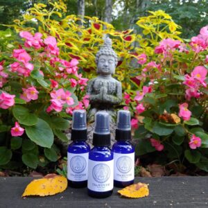 Transform Elixir Mist